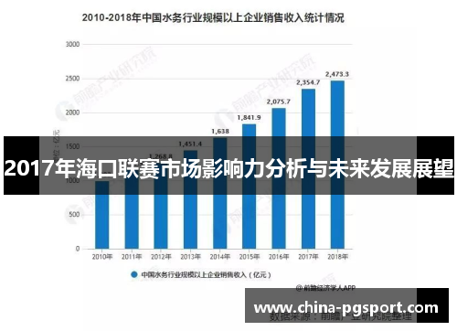 2017年海口联赛市场影响力分析与未来发展展望