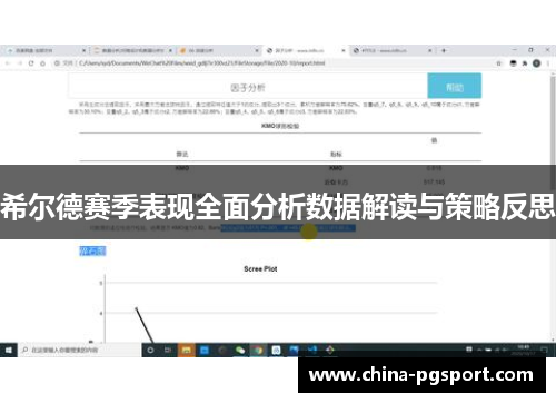 希尔德赛季表现全面分析数据解读与策略反思
