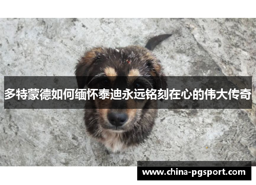 多特蒙德如何缅怀泰迪永远铭刻在心的伟大传奇