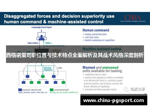 西格诺里司职位置与技术特点全面解析及其战术风格深度剖析