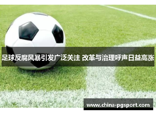 足球反腐风暴引发广泛关注 改革与治理呼声日益高涨 足球反腐风暴引发广泛关注 改革与治理呼声日益高涨