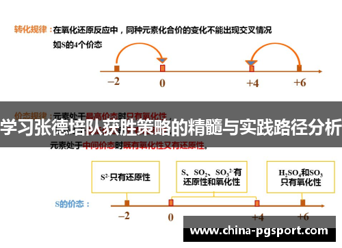 学习张德培队获胜策略的精髓与实践路径分析
