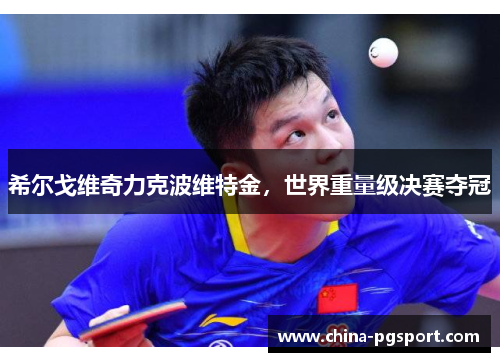 希尔戈维奇力克波维特金，世界重量级决赛夺冠