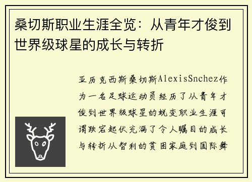 桑切斯职业生涯全览：从青年才俊到世界级球星的成长与转折